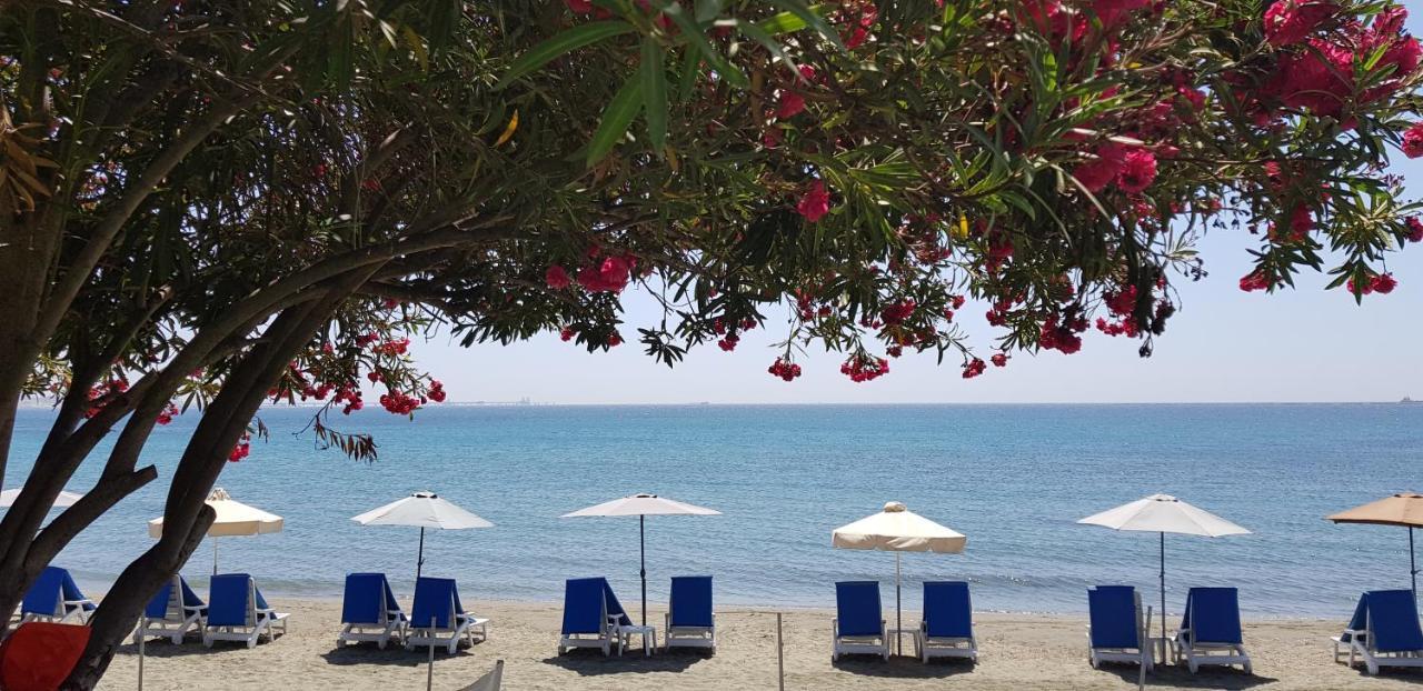 Andreas & Melanie Beach Hotel 总督海滩 外观 照片